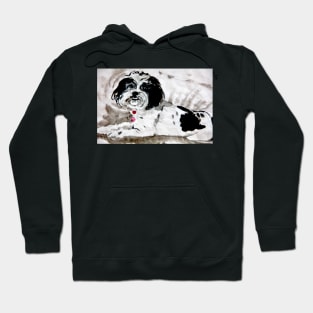 Et Too Brutus? Hoodie